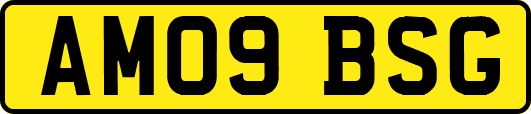 AM09BSG