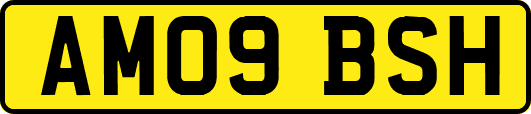 AM09BSH