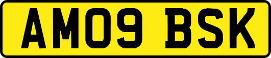 AM09BSK