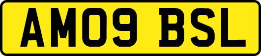 AM09BSL