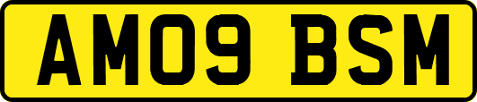 AM09BSM