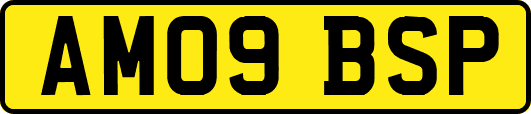 AM09BSP
