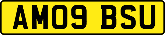 AM09BSU