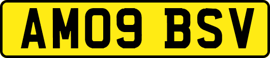 AM09BSV