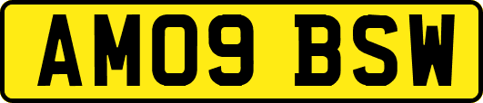 AM09BSW