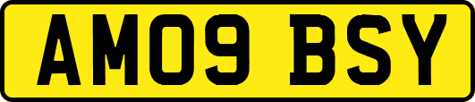 AM09BSY