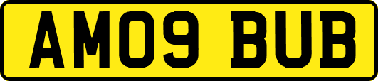 AM09BUB