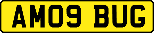 AM09BUG