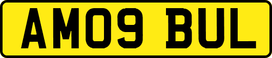 AM09BUL