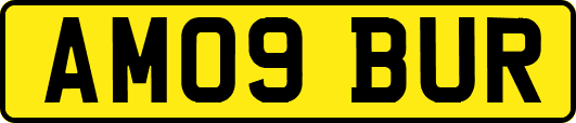 AM09BUR