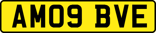 AM09BVE