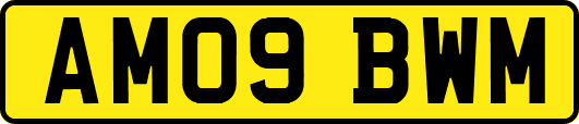 AM09BWM