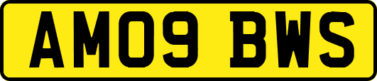 AM09BWS