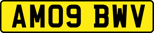 AM09BWV
