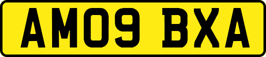 AM09BXA