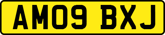 AM09BXJ