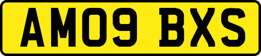 AM09BXS