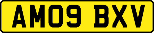 AM09BXV