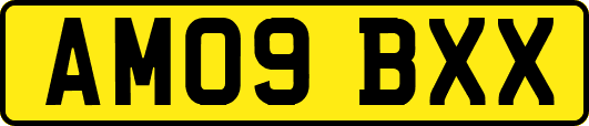 AM09BXX