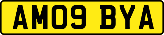 AM09BYA