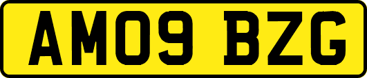 AM09BZG