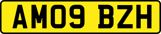 AM09BZH