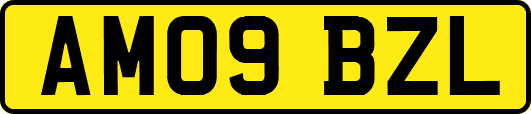 AM09BZL