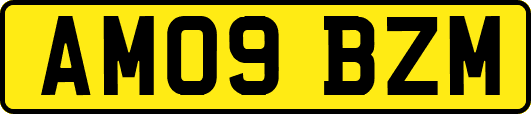 AM09BZM