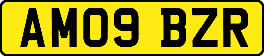 AM09BZR