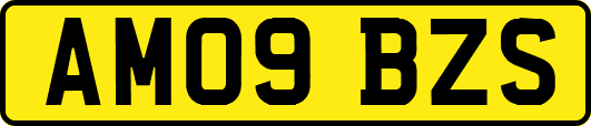 AM09BZS