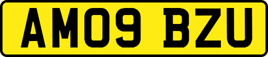 AM09BZU