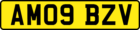 AM09BZV