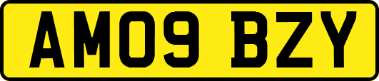 AM09BZY