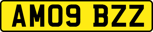 AM09BZZ