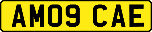 AM09CAE