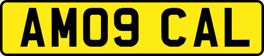 AM09CAL
