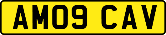 AM09CAV