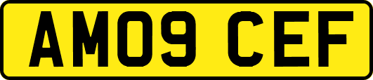 AM09CEF