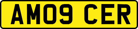 AM09CER