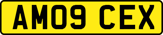 AM09CEX