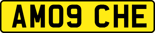 AM09CHE