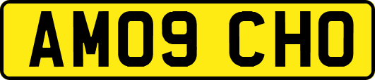 AM09CHO
