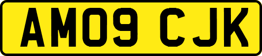 AM09CJK
