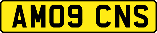 AM09CNS