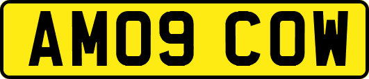 AM09COW