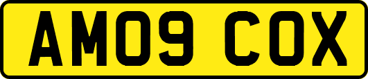 AM09COX