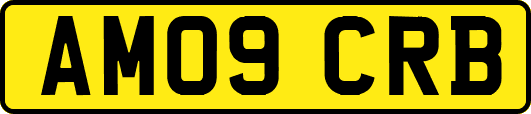 AM09CRB