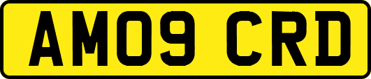 AM09CRD