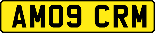 AM09CRM