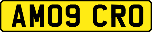 AM09CRO